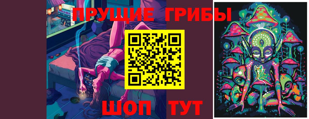 Псилоцибиновые грибы мицелий  Вход с VPN  Карабулак  магазин продажи наркотиков  Псилоцибиновые грибы Cubensis 